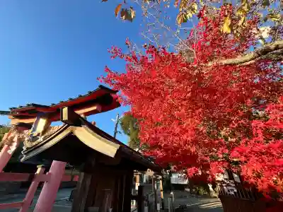 宝来山神社(和歌山県)