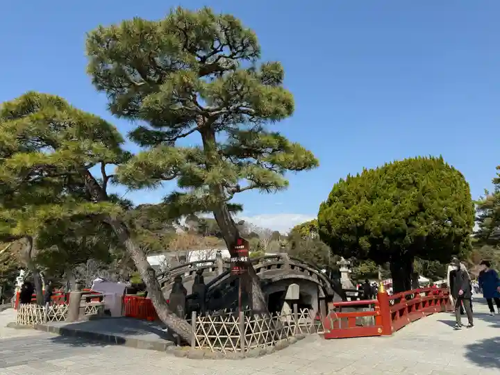 鶴岡八幡宮(神奈川県)