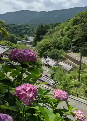 長谷寺(奈良県)