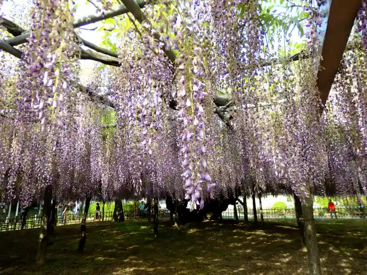 玉敷神社(埼玉県)