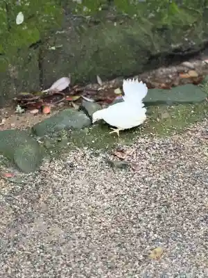 石上神宮(奈良県)
