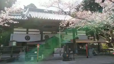 海住山寺の本殿・本堂