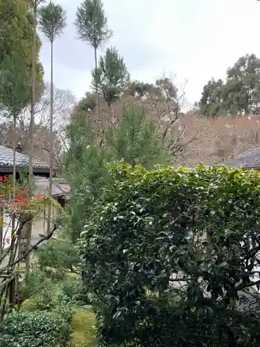 龍安寺(京都府)