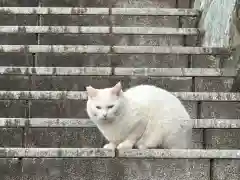 王子神社の動物