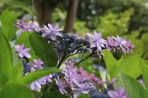 豊景神社の庭園