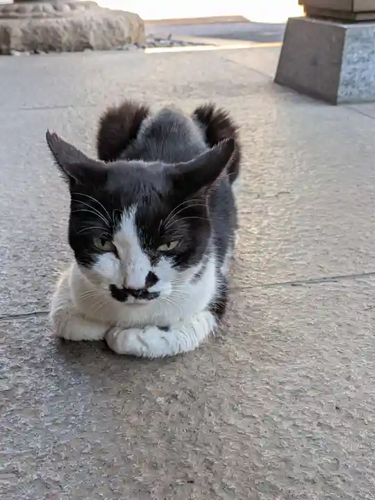 白金氷川神社(東京都)