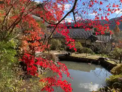 大国寺(兵庫県)