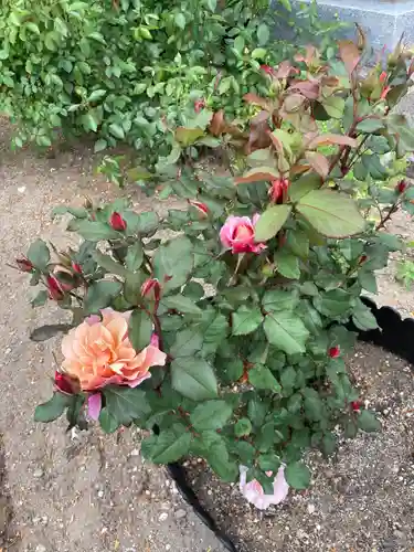 宝光寺(北海道)