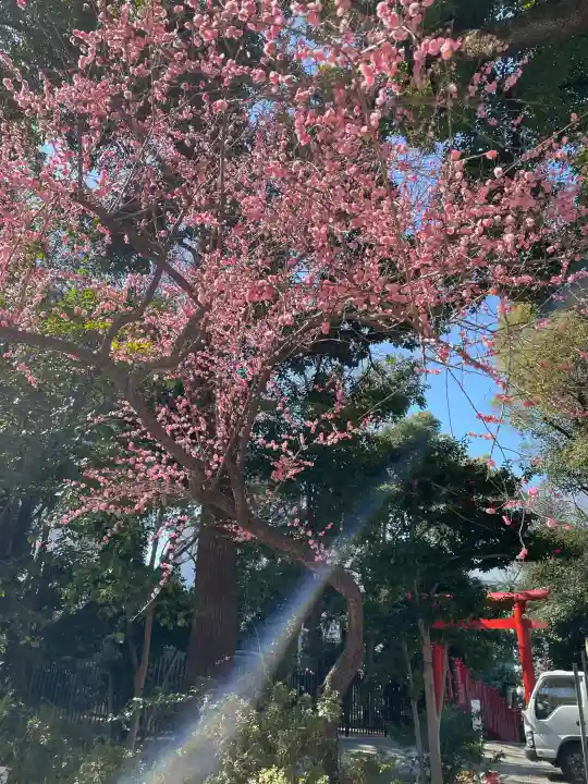 日枝神社(東京都)