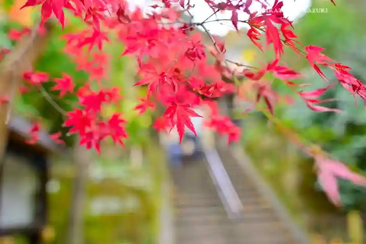 円覚寺(神奈川県)