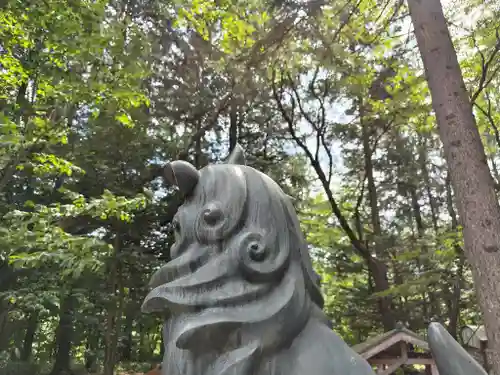 占冠神社の狛犬