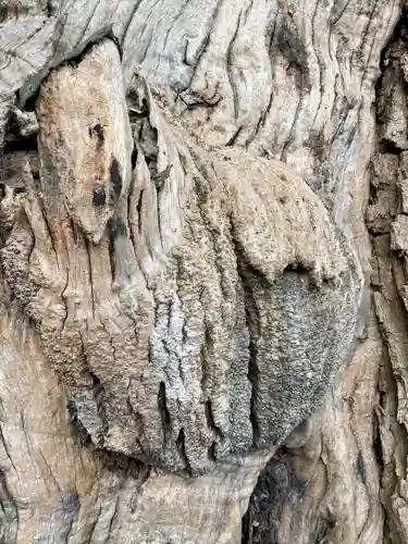 妙雲寺(東京都)