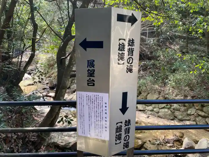 大頭神社の{uncategorized: "未分類", other: "その他", undefined: "問題あり", building: "その他建物", grave: "お墓", sacred_gate: "鳥居", guardian: "狛犬", statue: "像", buddha: "仏像", history: "歴史", nature: "自然", garden: "庭園", animal: "動物", pagoda: "塔", temizu: "手水舎", mountain_gate: "山門・神門", sanctuary: "本殿・本堂", subordinate: "末社・摂社", art: "芸術", scenery: "景色", jizo: "地蔵", ema: "絵馬", goshuin: "御朱印", omikuji: "おみくじ", items: "授与品その他", amulet: "お守り", goshuincho: "御朱印帳", eats: "食事", festival: "お祭り", votive_dance: "神楽", shichigosan: "七五三参", wedding: "結婚式", experience: "体験その他", initially: "初詣", around: "周辺", anti_infection: "感染症対策"}