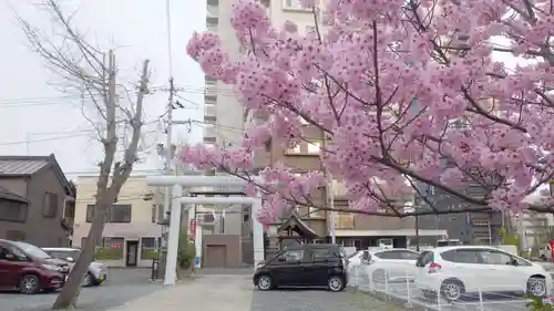 阿邪訶根神社の自然