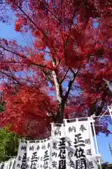 開成山大神宮の自然