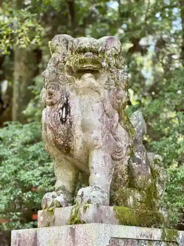 春日大社(奈良県)