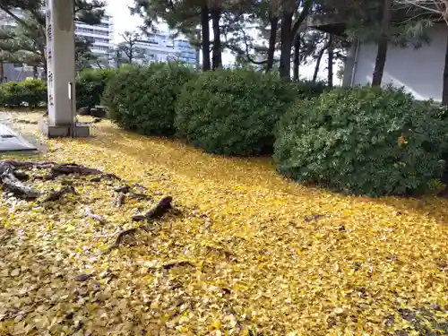 福井神社(福井県)