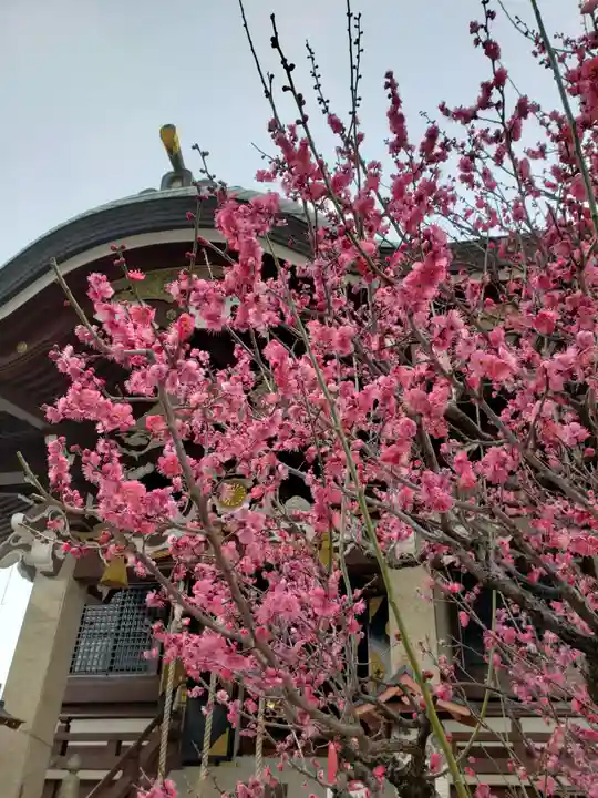 諏訪神社の自然