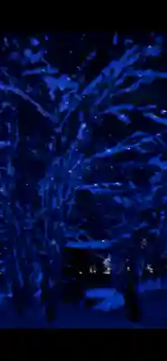 定山渓神社の{uncategorized: "未分類", other: "その他", undefined: "問題あり", building: "その他建物", grave: "お墓", sacred_gate: "鳥居", guardian: "狛犬", statue: "像", buddha: "仏像", history: "歴史", nature: "自然", garden: "庭園", animal: "動物", pagoda: "塔", temizu: "手水舎", mountain_gate: "山門・神門", sanctuary: "本殿・本堂", subordinate: "末社・摂社", art: "芸術", scenery: "景色", jizo: "地蔵", ema: "絵馬", goshuin: "御朱印", omikuji: "おみくじ", items: "授与品その他", amulet: "お守り", goshuincho: "御朱印帳", eats: "食事", festival: "お祭り", votive_dance: "神楽", shichigosan: "七五三参", wedding: "結婚式", experience: "体験その他", initially: "初詣", around: "周辺", anti_infection: "感染症対策"}