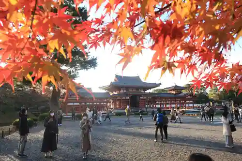 平等院のその他建物