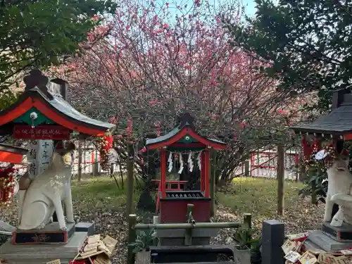 冠稲荷神社の{uncategorized: "未分類", other: "その他", undefined: "問題あり", building: "その他建物", grave: "お墓", sacred_gate: "鳥居", guardian: "狛犬", statue: "像", buddha: "仏像", history: "歴史", nature: "自然", garden: "庭園", animal: "動物", pagoda: "塔", temizu: "手水舎", mountain_gate: "山門・神門", sanctuary: "本殿・本堂", subordinate: "末社・摂社", art: "芸術", scenery: "景色", jizo: "地蔵", ema: "絵馬", goshuin: "御朱印", omikuji: "おみくじ", items: "授与品その他", amulet: "お守り", goshuincho: "御朱印帳", eats: "食事", festival: "お祭り", votive_dance: "神楽", shichigosan: "七五三参", wedding: "結婚式", experience: "体験その他", initially: "初詣", around: "周辺", anti_infection: "感染症対策"}