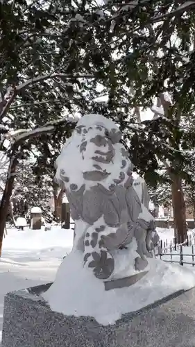 新琴似神社の狛犬