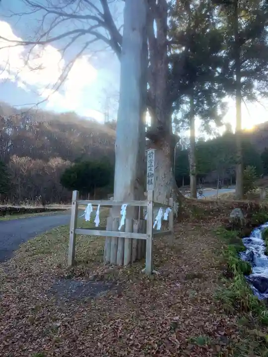 諏訪大社上社前宮の自然