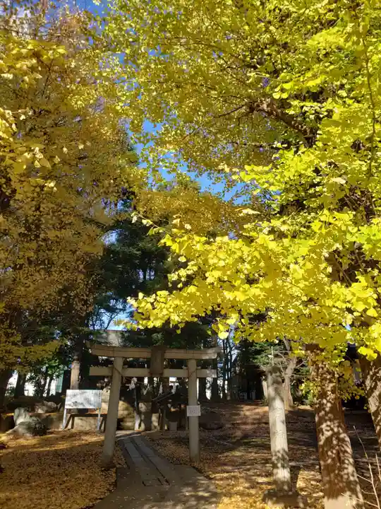 愛宕神社の自然