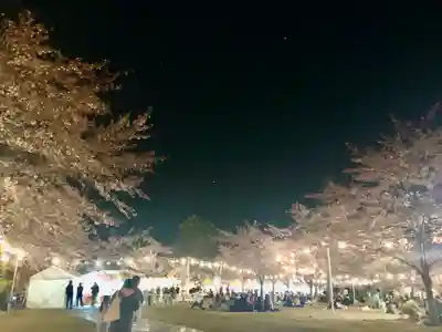 櫻岡大神宮のお祭り