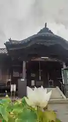 餘慶寺の本殿