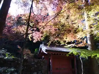 三千院門跡(京都府)