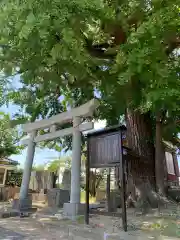 水神社(千葉県)