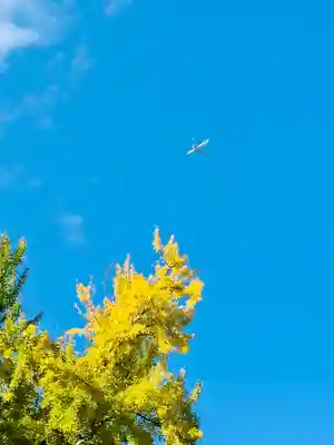 廣瀬大社(奈良県)