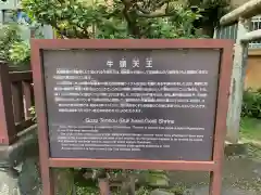 牛頭天王の歴史