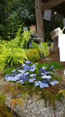 出雲大神宮の手水舎