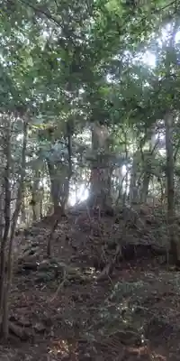 伊勢神宮外宮（豊受大神宮）(三重県)