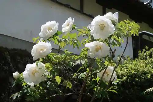 長谷寺(奈良県)