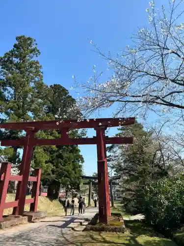 岩木山神社の{uncategorized: "未分類", other: "その他", undefined: "問題あり", building: "その他建物", grave: "お墓", sacred_gate: "鳥居", guardian: "狛犬", statue: "像", buddha: "仏像", history: "歴史", nature: "自然", garden: "庭園", animal: "動物", pagoda: "塔", temizu: "手水舎", mountain_gate: "山門・神門", sanctuary: "本殿・本堂", subordinate: "末社・摂社", art: "芸術", scenery: "景色", jizo: "地蔵", ema: "絵馬", goshuin: "御朱印", omikuji: "おみくじ", items: "授与品その他", amulet: "お守り", goshuincho: "御朱印帳", eats: "食事", festival: "お祭り", votive_dance: "神楽", shichigosan: "七五三参", wedding: "結婚式", experience: "体験その他", initially: "初詣", around: "周辺", anti_infection: "感染症対策"}