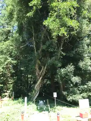 伊佐須美神社(福島県)