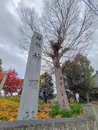 神明社（下切町）のその他建物