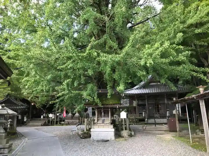 正法寺の自然