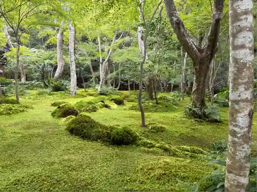祇王寺(京都府)