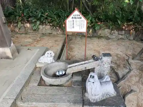 弓弦羽神社(兵庫県)