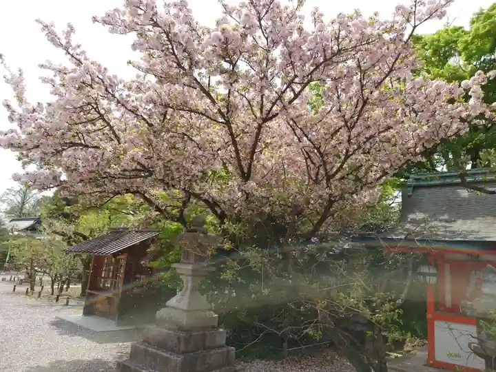 北野天満宮の庭園