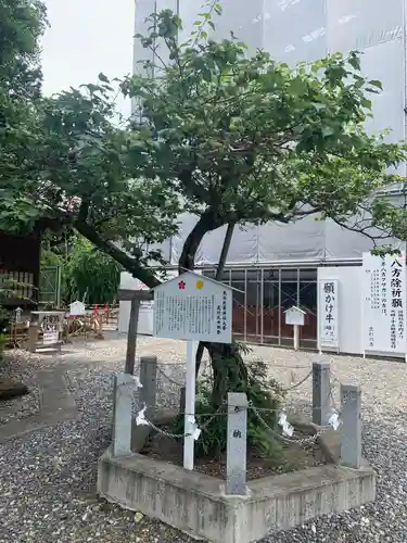 矢奈比賣神社（見付天神）の庭園