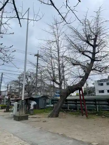 沼影観音堂（廣田寺）の{uncategorized: "未分類", other: "その他", undefined: "問題あり", building: "その他建物", grave: "お墓", sacred_gate: "鳥居", guardian: "狛犬", statue: "像", buddha: "仏像", history: "歴史", nature: "自然", garden: "庭園", animal: "動物", pagoda: "塔", temizu: "手水舎", mountain_gate: "山門・神門", sanctuary: "本殿・本堂", subordinate: "末社・摂社", art: "芸術", scenery: "景色", jizo: "地蔵", ema: "絵馬", goshuin: "御朱印", omikuji: "おみくじ", items: "授与品その他", amulet: "お守り", goshuincho: "御朱印帳", eats: "食事", festival: "お祭り", votive_dance: "神楽", shichigosan: "七五三参", wedding: "結婚式", experience: "体験その他", initially: "初詣", around: "周辺", anti_infection: "感染症対策"}