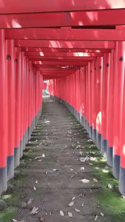 清洲山王宮 日吉神社の鳥居