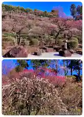 池上本門寺(東京都)