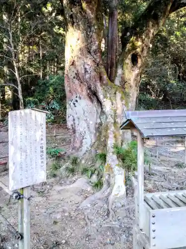 小國神社(静岡県)