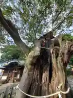 阿邪訶根神社(福島県)
